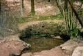 La fontaine de jouvence