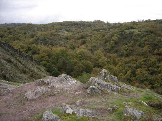 La forêt de Brocéliande