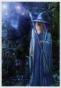 Merlin l'enchanteur