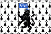 drapeau ploermel